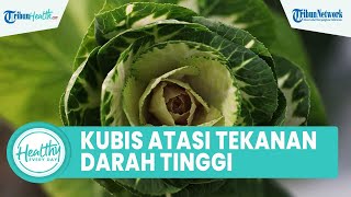 Cara Alami Atasi Tekanan Darah Tinggi dengan Konsumsi Kubis, Inilah Manfaat untuk Kesehatan Tubuh