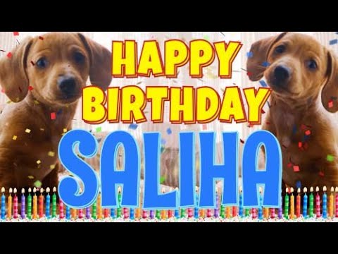 Happy Birthday Saliha! ( Funny Talking Dogs ) What Is Free On My Birthday