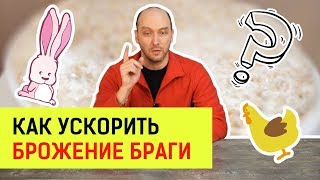 Прикормка для браги что использовать