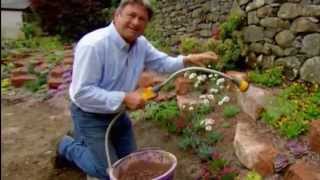 Love Your Garden - Rockery