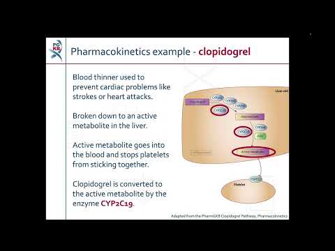 Introduction to Pharmacogenomics