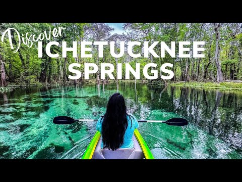 Ichetucknee Springs: Experience One of Florida's Natural Paradises