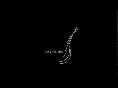 escstunis - Sonhando