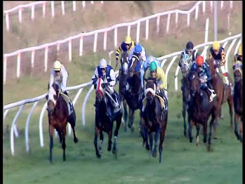 Galoppo 16/12/2018 - 2ª corsa