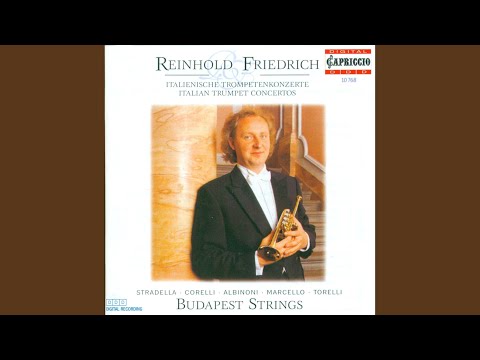 Sonata a 5 in D Major: II. Grave - Allegro - Adagio