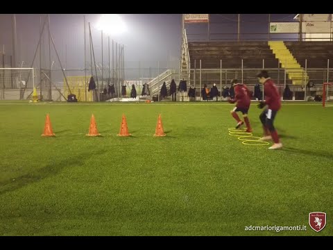 Drone Riga2010 e 2012