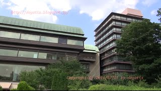 preview picture of video 'Japan Trip 2014 Tokyo Mejiro Hotel Chinzan-sō Garden Koi(carp) & Argynnis hyperbius(butterfly)02'