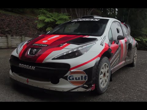 The Homebuilt Rally Car That's Too Fast for the WRC - TST in NZ