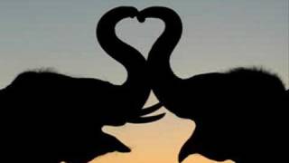 With broken wings-Her legacy