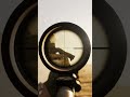 it was a Turkey Shoot - Squad #squadgame #squadclips #milsim #montage
