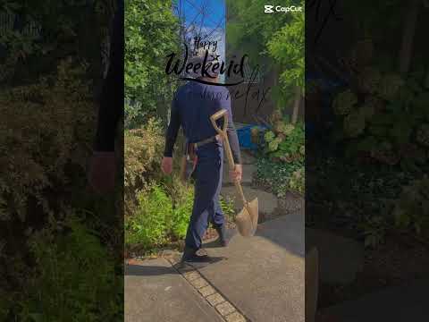 いくつかのレベルでの庭園デザイン – 18 の素晴らしいアイデア  庭園