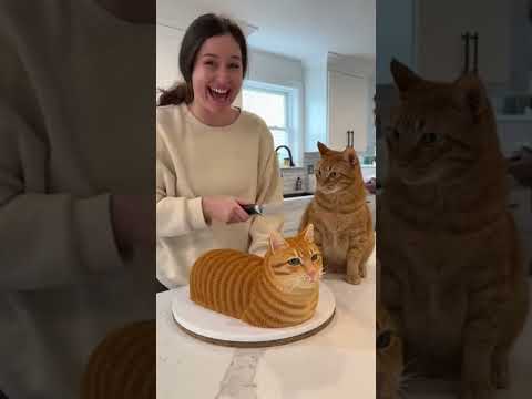 FUNNIEST Cat Cake Cutting Reaction 🐱P23