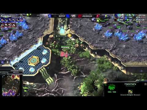 PvZ Mana vs SortOf -g2- Starcraft 2 HD polski komentarz Heart of the Swarm