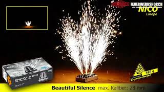 Fontäne Beautiful Silence