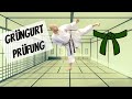 Become A Karate Master 4 10 Green Belt Shotokan Kihon Examination Program 6th Kyu DKV