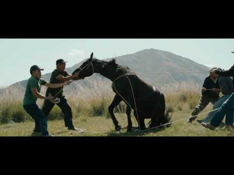 Трейлер