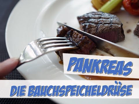 Pankreas: Die Bauchspeicheldrüse