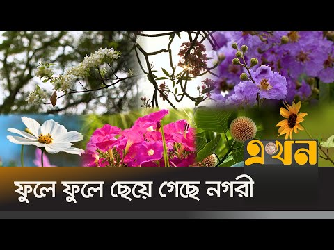 কালো ধোঁয়ায় হাসি দিয়ে তাকিয়ে আছে গ্রীষ্মের ফুল | Summer Flower | Flower News | Ekhon TV