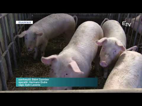 Híradó 2018. augusztus 29. – Erdélyi Magyar Televízió