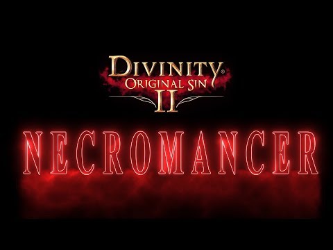 Necromancer - Divinity Original Sin 2 Skill Showcase