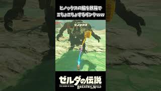 鉄箱でヒノックスの脇をボコボコにするリンクｗｗ【ゼルダの伝説 ブレス オブ ザ ワイルド】