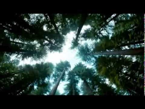 ABERTURA DE PALESTRA - MOTIVAÇÃO