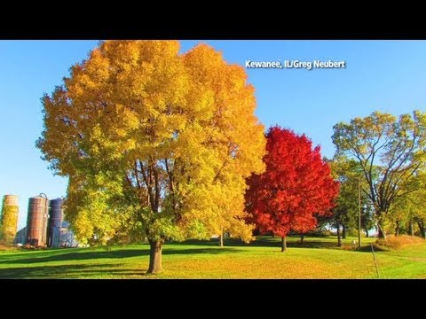 Where to See the Best Fall Color