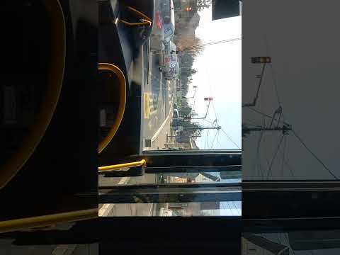 Linija 603: Ledine - Ugrinovci (cela trasa)