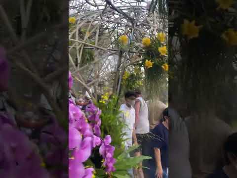 Caminhando no Parque Público Nong Buak Head do Festival de Flores de Chiang Mai