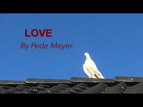 Love by Pede Meyer
