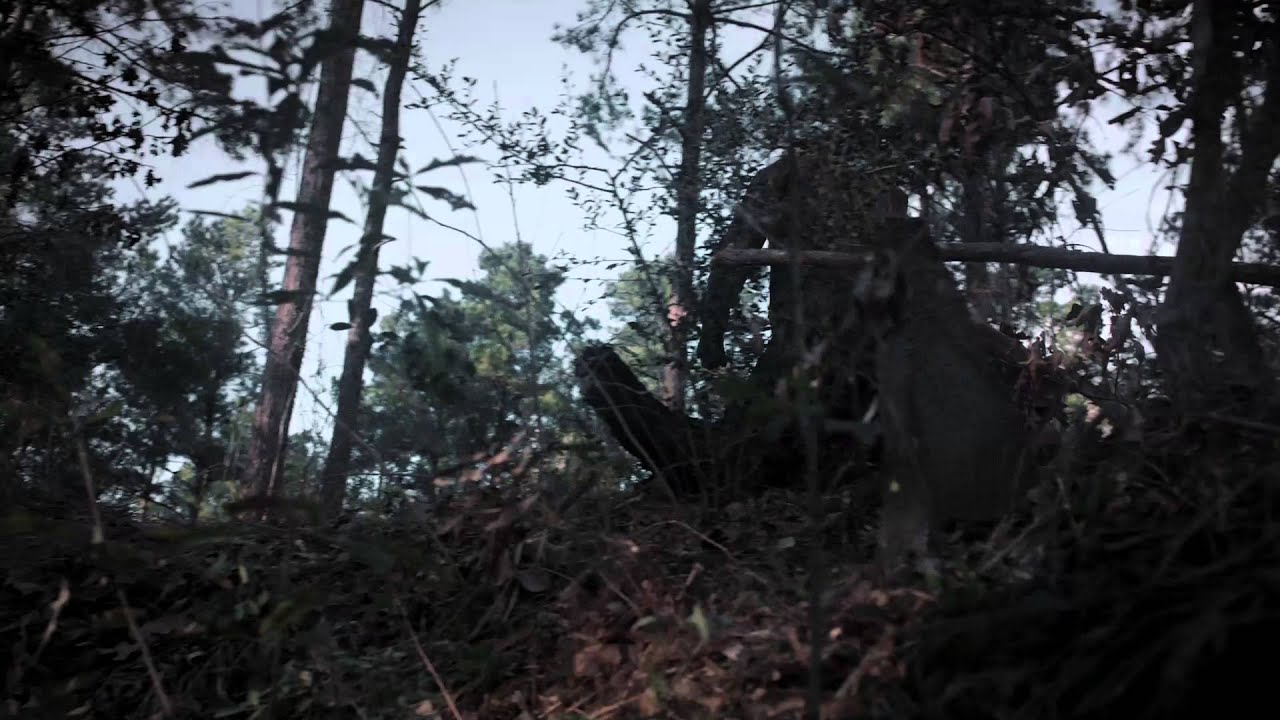 Фрагмент №2 (сезон 1, эпизод 2)