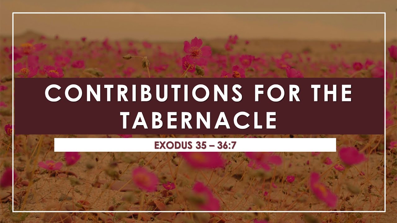 Contributions For The Tabernacle | Exodus 35