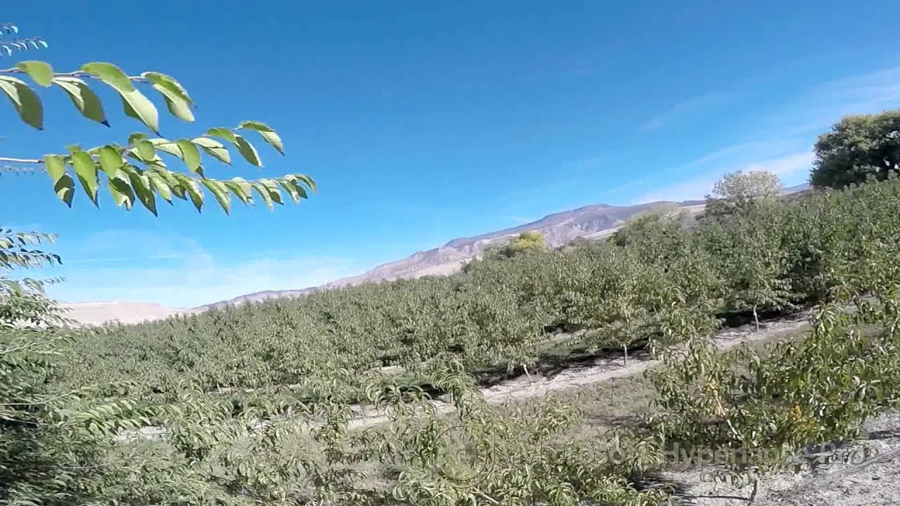 Video: GOPR4535 hyperlapse 2x std
