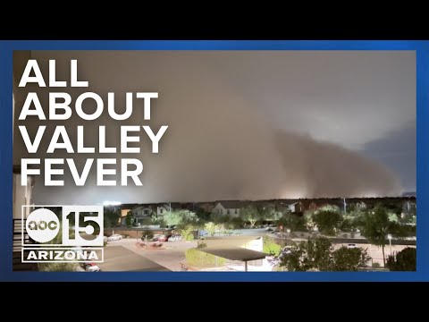 Valley Fever: What to know as dust storms kick up dust, spores