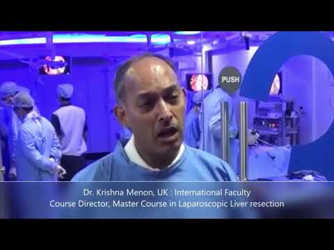 Course Director, Master Course in Laparoscopic Liver Resection