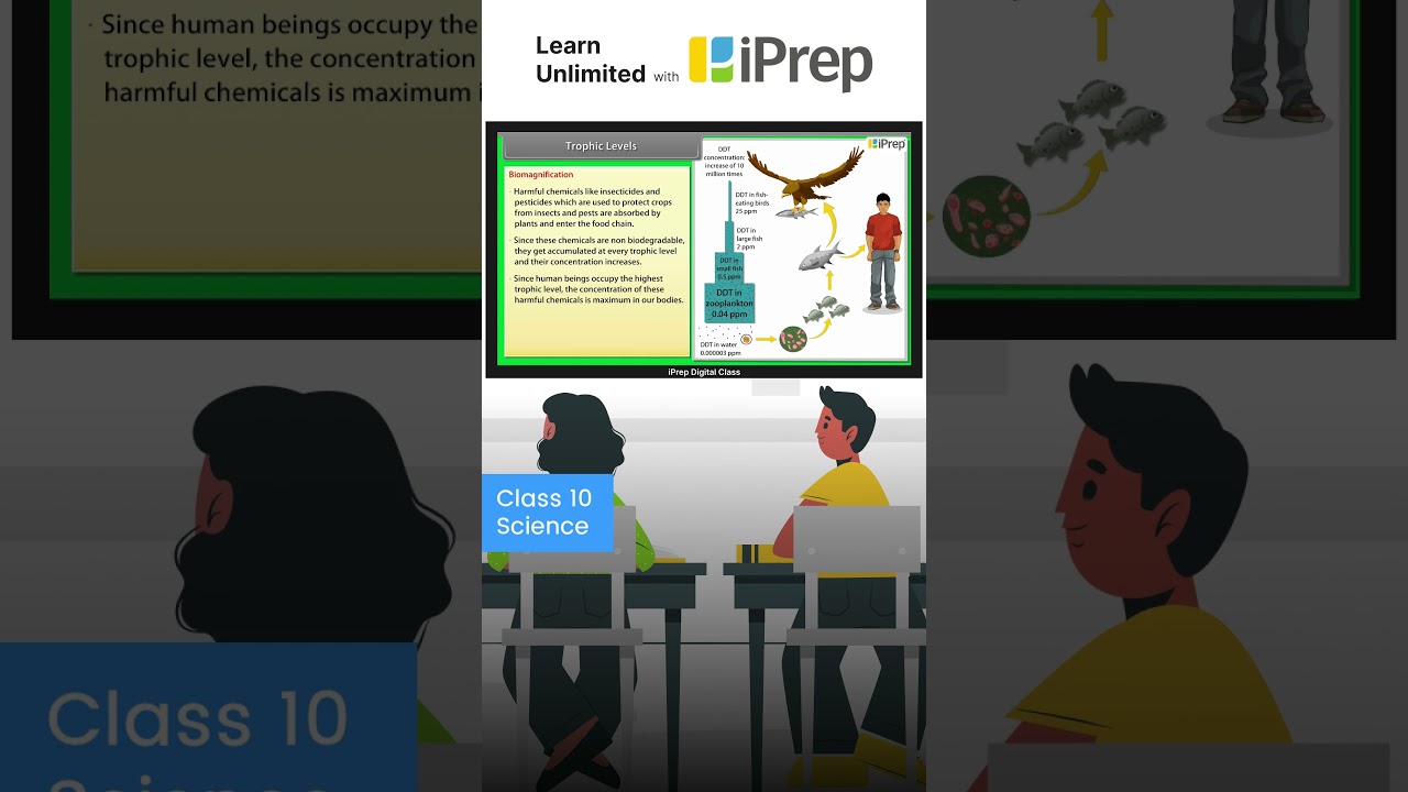 Biomagnification | Our Environment | Science | Class 10 | iPrep #iprep #science