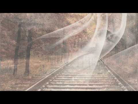 Danutė Neimontaitė. Juodas garvežys