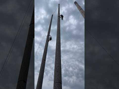 3rd place finish in the 60 foot speed climb at the 2024 Lumberjack World championships #lumberjack