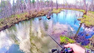 Рыбалка весной на реках
