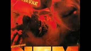 NTM - La Fièvre Lyrics