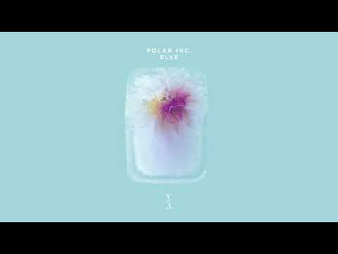 Polar Inc. - Elve