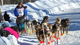 What is the Iditarod? | AK Explained