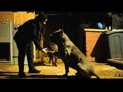 Death leaves a heartache no one can heal, love leaves a memory no one can steal. R.I.P MANOLO 💔