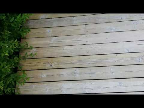 Sioo Träskydd och Ytskydd: Resultatet efter 22 dagar (2016-06-26)