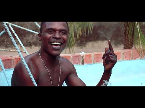 Tiger ToNka FELISTER