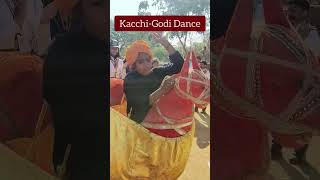 Maharana Mewar Vidya Mandir Video