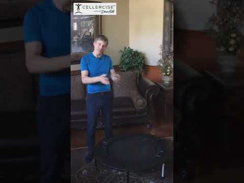 You Judge - Squeaky 🔊 or Quiet🔈Cellercise®❓