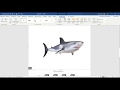 Microsoft Word Osnove