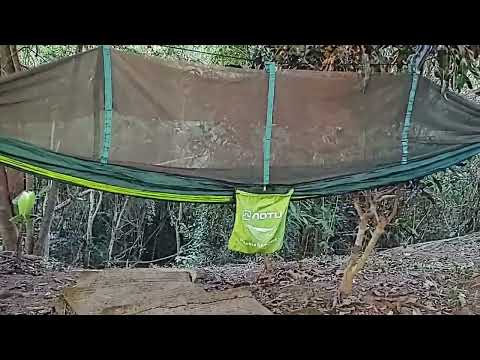 Hung A Jungle Hammock In The Shade For Marife