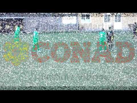 Quincitava -  Brandizzo